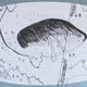 Illustration for article titled Unused storyboards show how Alien could have been more "pornographic"